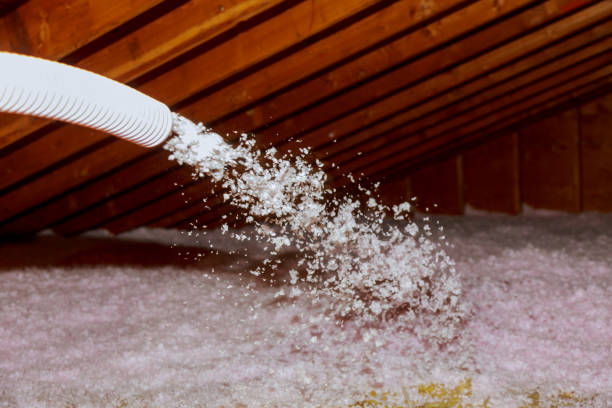Best Commercial Insulation in Lake Catherine, IL