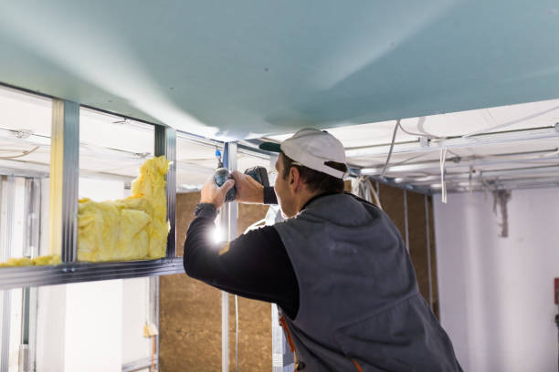 Best DIY Insulation Kits and Guidance in Lake Catherine, IL