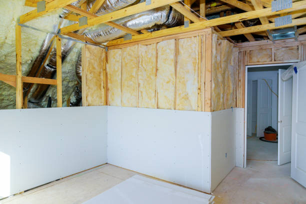 Best Specialized Insulation Services in Lake Catherine, IL