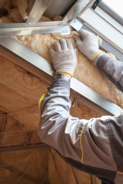 Best Cellulose Insulation in Lake Catherine, IL