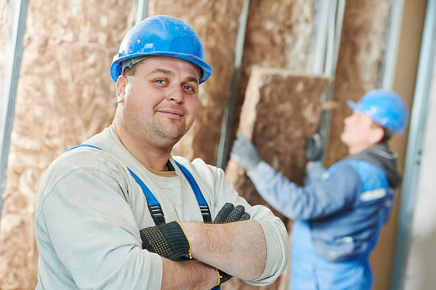 Best Specialized Insulation Services in Lake Catherine, IL