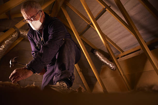 Best Residential Insulation in Lake Catherine, IL
